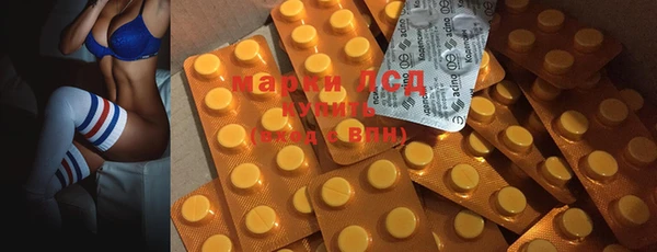 крисы Бородино