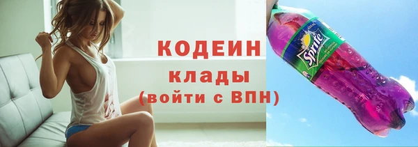 крисы Бородино