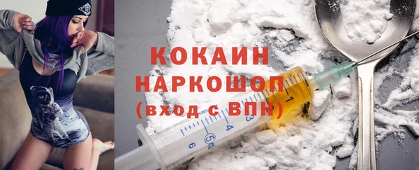 крисы Бородино