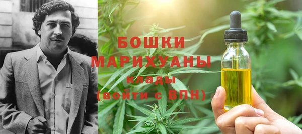 стаф Бронницы