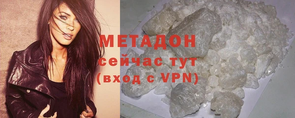крисы Бородино
